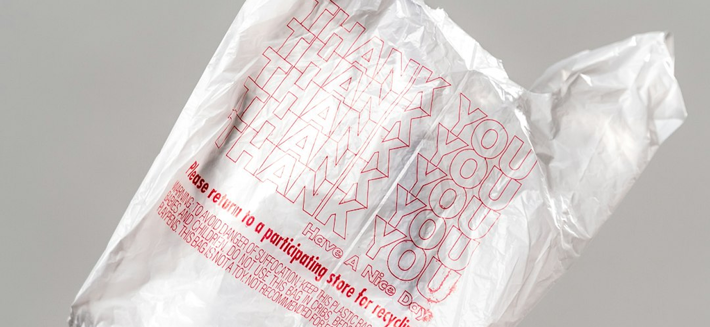 Sachet pépinière café